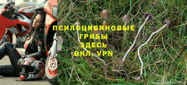 трава Аркадак