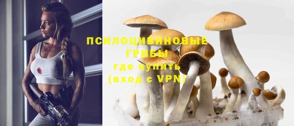 мдпв Арсеньев