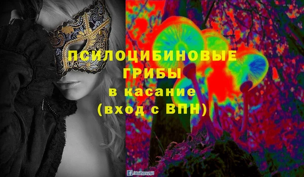 мдпв Арсеньев