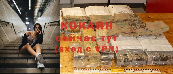 шишки Балахна