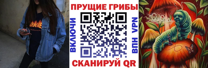 Псилоцибиновые грибы Psilocybe  наркошоп  Петухово 